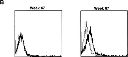 Fig. 10. Examples of IF analysis of peripheral blood lymphocytes from three recipients of transduced bone marrow transplant (BMT) before (left) and following (right) treatment with cyclosporin A and prednisone. Weeks after BMT are shown. (A) Recipient of cytokine mobilized autologous BMT. (B and C) Recipients of cytokine-mobilized, matched, allogeneic BMT.