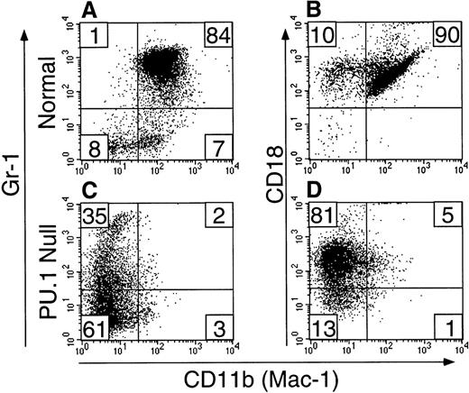 Fig. 2. Gr-1+ PU.1-deficient neutrophils are deficient in CD11b, but not CD18 expression. Short-term cultured (see Materials and Methods) liver-derived hematopoietic cells from normal (panels A and B) or PU.1-null (panels C and D) neonatal mice were assessed by two-color flow cytometry for CD11b (FITC) and Gr-1 (PE) (panels A and C) or CD11b (FITC) and CD18 (PE) (panels B and D) expression. Note the vastly reduced expression of CD11b on PU.1-deficient cells (compare panels A and C) but the presence of CD18 on the majority (86%) of the PU.1-deficient cells (compare panels B and D).
