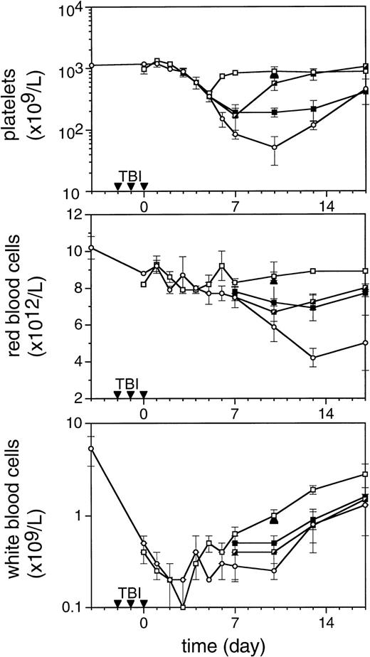 Fig. 6. The effect of TPO on hematopoietic regeneration after 9 Gy TBI in mice. The mice were irradiated with three fractions (▾) of 3 Gy with 24-hour intervals. In the upper panel platelet regeneration is depicted, in the middle panel red blood cell regeneration is shown, and in the lower panel white blood cell regeneration is shown. (□), mice treated with three doses of 0.3 μg/mouse of mTPO IP 2 hours after each fraction of TBI; (┌), mice treated with 0.9 μg IP 2 hours after the last fraction of TBI (day 0); (▪), mice treated with 0.9 μg IP 2 hours before the first fraction of TBI; (○), control mice. Data are given as means ± SD, three mice per data point per group. The closed triangles (▴) are counts from mice treated with 30 μg of mTPO IP 2 hours before irradiation (n = 3).