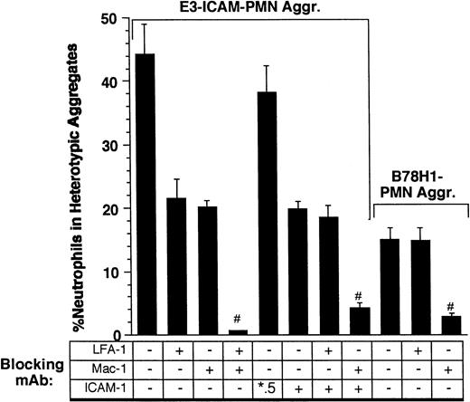 Fig. 2. Adhesion of neutrophils to E3-ICAM transfectants. Neutrophils (3 × 106 cells/mL) were mixed with either E3-ICAM–transfected cells or B78H1 parent cells (6 × 106 cells/mL), stimulated with 1 μmol/L FMLP, and sheared at a shear rate of 200 s−1. The percentage of neutrophils in heterotypic aggregates 10 seconds after the application of shear is compared on addition of a panel of blocking antibodies at saturation concentration: R3.1 Fab (to LFA-1), h60.1 (to Mac-1), and R6.5 Fab (to ICAM-1). *The fifth bar represents experiments where R6.5 Fab was added to bind 50% of the ICAM-1 receptors on E3-ICAM cells.#Not statistically different. Error bars represent SEM from at least three independent experiments.