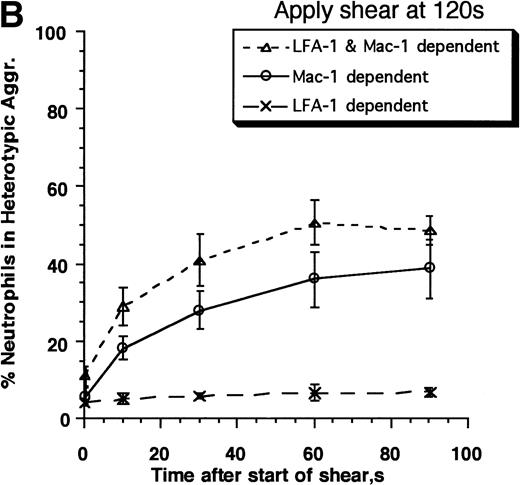 Fig. 3. Contributions of LFA-1 and Mac-1 to time-dependent changes in cell adhesivity. Neutrophils (3 × 106cells/mL) were mixed with E3-ICAM transfectants (6 × 106 cells/mL) and stimulated with 1 μmol/L FMLP for fixed time periods (0, 30, 60, 120, 180, 240, or 300 seconds) before application of shear at 200 s−1. Cell aggregation kinetics was measured. (A) Percent neutrophils in heterotypic aggregates for experiments where shear was applied either 0, 30, 120, or 300 seconds after stimulation. (B) Percent neutrophils recruited in heterotypic aggregation when shear was applied 120 seconds after FMLP stimulation either in the absence of MoAb (LFA-1– and Mac-1–dependent adhesion) or on addition of anti–ICAM-1 domain 1 MoAb RR1/1 (Mac-1–dependent adhesion) or anti–Mac-1 MoAb h60.1 (LFA-1–dependent adhesion). Error bars in (A) and (B) represent SEM from three independent experiments. (C) Adhesion efficiency of neutrophil–E3-ICAM interactions with time at a shear rate of 200 s−1 either in the absence of MoAb, or upon addition of MoAbs to domain-1 of ICAM-1 (RR1/1) or Mac-1 (h60.1). Smooth lines represent curve fit to experimental data with a first-order exponential decay function as described in Results. Data are means from at least three independent experiments. *P < .05 with respect to adhesion efficiency estimated in the absence of MoAb and on addition of RR1/1.