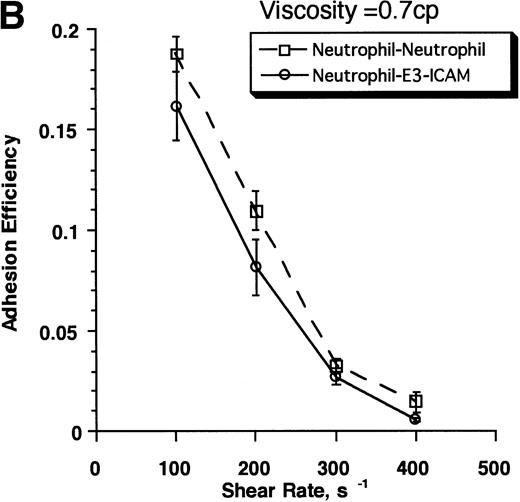 Fig. 4. Kinetics and strength of β2-integrin receptor–ligand interactions. Neutrophils (3 × 106cells/mL) and E3-ICAM (5 × 106 cells/mL) cells were stimulated with 1 μmol/L FMLP and sheared in a cone-plate viscometer over a range of shear rates from 100 to 500 s−1 in normal HEPES buffer (media viscosity, =0.7 cp, A and B) or on addition of 6% Ficoll to the HEPES buffer (media viscosity, =1.7 cp, C and D). (A) Percent neutrophils in heterotypic aggregates in normal buffer. (B) Adhesion efficiencies for neutrophil–E3-ICAM collisions were computed from data presented in A, and compared with the adhesion efficiency for neutrophil-neutrophil collisions in independent homotypic aggregation experiments in the presence of 30 μg/mL anti–L-selectin MoAb, LAM1-3 Fab. (C) Percent neutrophils in heterotypic aggregates in HEPES buffer with 6% Ficoll. (D) Adhesion efficiencies for neutrophil–E3-ICAM were computed for the data in C and compared with neutrophil-neutrophil aggregation in the presence of LAM1-3 in media with viscosity 1.7 cp. Error bars represents SEM from three to eight independent experiments. *P < .05 with respect to neutrophil–E3-ICAM adhesion in the absence of Ficoll.