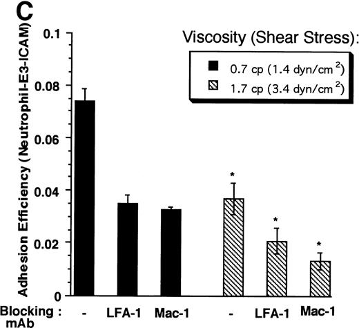 Fig. 5. Strength of LFA-1– and Mac-1–mediated adhesion. Neutrophils (3 × 106 cells/mL) and E3-ICAM cells (5 × 106 cells/mL) were stimulated with 1 μmol/L FMLP and sheared in a cone-plate viscometer at 200 s−1 either in the absence of any MoAb (LFA-1– and Mac-1–dependent adhesion) or in the presence of anti–LFA-1 MoAb R3.1 Fab (Mac-1–dependent adhesion), anti–Mac-1 MoAb h60.1 (LFA-1–dependent adhesion), or on addition of both R3.1 and h60.1 (LFA-1– and Mac-1–independent adhesion): (A) in normal HEPES buffer (media viscosity, 0.7 cp), or (B) in buffer containing 6% Ficoll (media viscosity, 1.7 cp). The percent neutrophils in heterotypic aggregates is reported in the 2 panels. (C) Adhesion efficiencies for the experiment described in (A) and (B). Error bars represent SEM from at least three independent experiments. *P < .05 with respect to the same treatment in the absence of Ficoll.