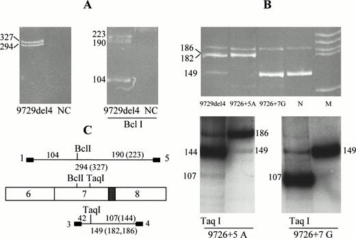 Fig. 2. Studies of ectopic and in vitro–expressed FVII mRNA. (A) RT-PCR amplification of white blood cell mRNA obtained from patient 2 carrying the 9729del4 mutation. PCR products (primers 1-5) were separated by 8% PAGE (left) or by 11% PAGE after Bcl I restriction (right). NC, negative control. (B) RT-PCR amplification of FVII mRNA expressed in cells transfected with constructs containing the three mutations (9729del4, 9726+5A, 9726+7G) or the normal sequence (N). Upper part, ethidium bromide staining of fragments amplified with primers 3 and 4; M, size marker. Lower part, autoradiographs of the same fragments labeled by 32P and restricted by TaqI. Gels were overexposed. (C) Schematic diagrams of FVII cDNAs (exons 6-8) and of fragments amplified from the ectopic mRNA (primers 1-5) or from the mRNA expressed in transfected cells (primers 3-4). The restriction sites used in (A) (Bcl I) and (B) (Taq I) are also indicated together with the sizes of fragments, which are given in bp. Length of abnormally spliced transcripts and of their restricted fragments are reported in parentheses. The 182-bp and 186-bp fragments were obtained from the 9729del4 and 9726+5A constructs, respectively. The 144-bp fragment was obtained by Taq I restriction of the 186-bp amplified fragment. The gray box indicates the repeat inserted in the abnormally spliced transcripts.