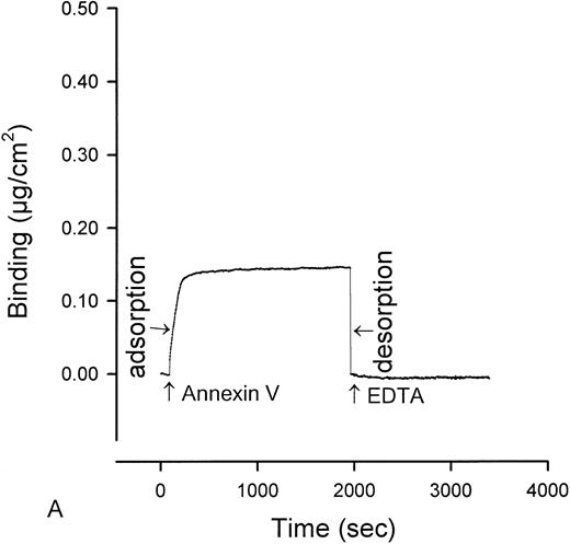 Fig. 1. Ellipsometry studies of effects of aPL IgG and cofactor on displacement of annexin-V from PS/PC phospholipid bilayers. (A) Shows the rapid adsorption of annexin-V to the PS/PC (30%/70%) phospholipid bilayer. Treatment with EDTA and measurement of the desorption of this protein can be used to measure the amount of annexin-V on the phospholipid surface. As shown, this calcium-dependent binding protein is completely desorbed from the phospholipid surface by addition of 6 mmol/L EDTA. (B) Shows that incubation of the annexin-V–coated phospholipid bilayer with a polyclonal human aPL IgG in the absence of β2-GPI does not displace the annexin-V, ie, the quantity of annexin-V desorbed after treatment with EDTA matches the quantity of annexin-V, which had originally adsorbed. (C) Incubation of the annexin-V–coated phospholipid bilayer with β2-GPI followed by polyclonal aPL IgG results in a significant reduction of the quantity of annexin-V on the bilayer. This is reflected by the marked reduction of the amount of annexin-V, which desorbs after treatment with EDTA. (D) In contrast, treatment of the phospholipid bilayer with the β2-GPI cofactor followed by a control (non-aPL) IgG fraction does not change the quantity of annexin-V on the phospholipid surface at all, ie, the quantity of annexin-V that is desorbed by treatment with EDTA is the same as the quantity that had been adsorbed in the first place.