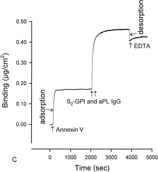 Fig. 1. Ellipsometry studies of effects of aPL IgG and cofactor on displacement of annexin-V from PS/PC phospholipid bilayers. (A) Shows the rapid adsorption of annexin-V to the PS/PC (30%/70%) phospholipid bilayer. Treatment with EDTA and measurement of the desorption of this protein can be used to measure the amount of annexin-V on the phospholipid surface. As shown, this calcium-dependent binding protein is completely desorbed from the phospholipid surface by addition of 6 mmol/L EDTA. (B) Shows that incubation of the annexin-V–coated phospholipid bilayer with a polyclonal human aPL IgG in the absence of β2-GPI does not displace the annexin-V, ie, the quantity of annexin-V desorbed after treatment with EDTA matches the quantity of annexin-V, which had originally adsorbed. (C) Incubation of the annexin-V–coated phospholipid bilayer with β2-GPI followed by polyclonal aPL IgG results in a significant reduction of the quantity of annexin-V on the bilayer. This is reflected by the marked reduction of the amount of annexin-V, which desorbs after treatment with EDTA. (D) In contrast, treatment of the phospholipid bilayer with the β2-GPI cofactor followed by a control (non-aPL) IgG fraction does not change the quantity of annexin-V on the phospholipid surface at all, ie, the quantity of annexin-V that is desorbed by treatment with EDTA is the same as the quantity that had been adsorbed in the first place.