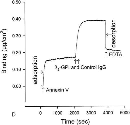 Fig. 1. Ellipsometry studies of effects of aPL IgG and cofactor on displacement of annexin-V from PS/PC phospholipid bilayers. (A) Shows the rapid adsorption of annexin-V to the PS/PC (30%/70%) phospholipid bilayer. Treatment with EDTA and measurement of the desorption of this protein can be used to measure the amount of annexin-V on the phospholipid surface. As shown, this calcium-dependent binding protein is completely desorbed from the phospholipid surface by addition of 6 mmol/L EDTA. (B) Shows that incubation of the annexin-V–coated phospholipid bilayer with a polyclonal human aPL IgG in the absence of β2-GPI does not displace the annexin-V, ie, the quantity of annexin-V desorbed after treatment with EDTA matches the quantity of annexin-V, which had originally adsorbed. (C) Incubation of the annexin-V–coated phospholipid bilayer with β2-GPI followed by polyclonal aPL IgG results in a significant reduction of the quantity of annexin-V on the bilayer. This is reflected by the marked reduction of the amount of annexin-V, which desorbs after treatment with EDTA. (D) In contrast, treatment of the phospholipid bilayer with the β2-GPI cofactor followed by a control (non-aPL) IgG fraction does not change the quantity of annexin-V on the phospholipid surface at all, ie, the quantity of annexin-V that is desorbed by treatment with EDTA is the same as the quantity that had been adsorbed in the first place.