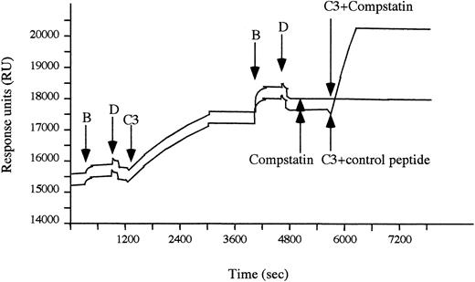Fig. 1. The stepwise generation of alternative pathway convertases monitored by plasmon resonance. C3b was conjugated to a CM 5 chip by amide bonds and used to create an initial alternative pathway convertase by sequential addition of factors B and D (as indicated by arrows) in the presence of 1 mmol/L Ni2+. The active convertase was thereafter subjected to native C3, which subsequently bound to the surface in the form of C3b. When the cycle with factors B and D was repeated, additional alternative pathway convertase complexes were generated. These convertase complexes were preincubated with Compstatin (70 μmol/L) followed by native C3 added in the presence of either Compstatin (70 μmol/L) or control peptide (70 μmol/L).