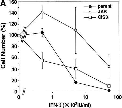 Fig. 3. Effect of forced expression of JAB and CIS3 on IFN-induced growth inhibition of M1 cells. Parental M1 cells and CIS3 or JAB transformants (5,000 cells/well) were plated in 24-well plates and cultured for 6 days in the presence of the indicated amount of IFN-β (A) or IFN-γ (B). Then the viable cells were counted by Trypan blue exclusion. The viability of the cells is expressed as the percentage of the number of IFN-treated cells to that of untreated cells. The numbers of untreated cells (100%) are 2.4 × 105 (parental M1 cells), 2.4 × 105 (JAB transformant), and 2.1 × 105 (CIS3 transformant).