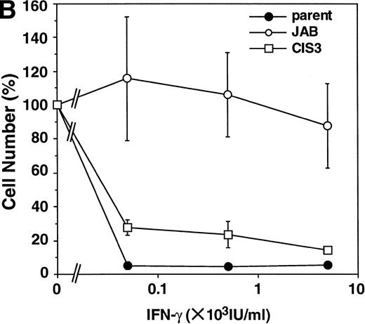 Fig. 3. Effect of forced expression of JAB and CIS3 on IFN-induced growth inhibition of M1 cells. Parental M1 cells and CIS3 or JAB transformants (5,000 cells/well) were plated in 24-well plates and cultured for 6 days in the presence of the indicated amount of IFN-β (A) or IFN-γ (B). Then the viable cells were counted by Trypan blue exclusion. The viability of the cells is expressed as the percentage of the number of IFN-treated cells to that of untreated cells. The numbers of untreated cells (100%) are 2.4 × 105 (parental M1 cells), 2.4 × 105 (JAB transformant), and 2.1 × 105 (CIS3 transformant).