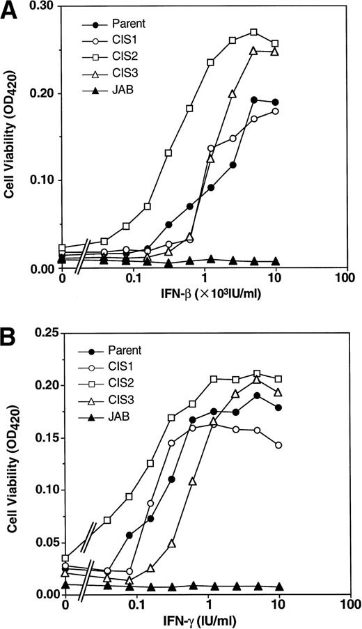 Fig. 4. Effect of CIS family members and JAB on the antiviral effect of IFNs. Parental NIH3T3 cells and transformants were infected with VSV for 3 days after incubation with the indicated amount of IFN-β (A) or IFN-γ (B) for 24 hours. The viable cells were measured by MTT assay. The optical density (OD) value at 420 nm that represents viable cell number is shown.