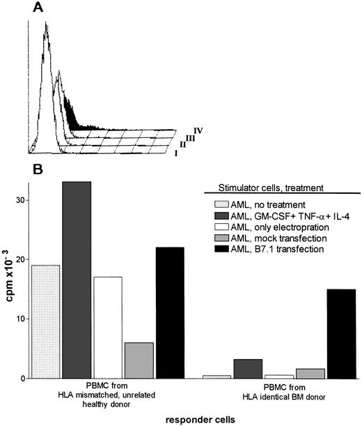 Fig. 2. (A) Expression of CD80 on AML cells transfected with pCDNA-B7 plasmid vector. CD80 expression was determined by FACS 48 hours after transfection of the cells. I, pCDNA-B7- transfected cells + no MoAb; II, untransfected cells + anti-CD80; III, mock-transfected cells + anti-CD80; IV, pCDNA-B7– transfected cells + anti-CD80. (B) HLA mismatched and HLA identical MLR reactions induced by cytokine-treated or CD80-transfected AML cells. Control stimulator cells are AML cells transfected with empty plasmid (mock transfection), AML cells electroporated without DNA, and untreated AML cells. Results are expressed as the mean cpm of triplicate cultures. The SEM did not exceed 15%.