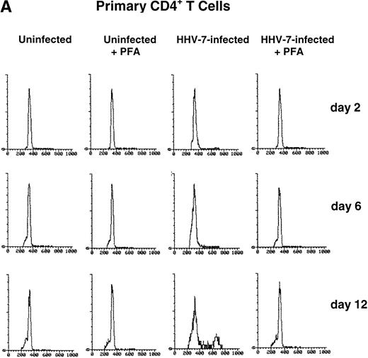 Fig. 1. PHA-stimulated primary CD4+ T lymphocytes (A) and SupT1 cells (B) were mock-infected or infected with HHV-7 in the presence or absence of PFA, and cell cycle was analyzed by flow cytometry, at 48-hour intervals, after staining of the DNA content with propidium iodide. The X axis shows the DNA content in a linear scale, determined based on fluorescence due to propidium iodide staining, and the Y axis reflects the relative number of cells. The percentage of cells in the G1(2n) and G2+M(4n) phases of the cell cycle for each experimental point are reported in Tables 2 and3. These results are representative of four separate experiments performed in duplicate.