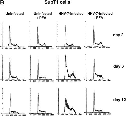 Fig. 1. PHA-stimulated primary CD4+ T lymphocytes (A) and SupT1 cells (B) were mock-infected or infected with HHV-7 in the presence or absence of PFA, and cell cycle was analyzed by flow cytometry, at 48-hour intervals, after staining of the DNA content with propidium iodide. The X axis shows the DNA content in a linear scale, determined based on fluorescence due to propidium iodide staining, and the Y axis reflects the relative number of cells. The percentage of cells in the G1(2n) and G2+M(4n) phases of the cell cycle for each experimental point are reported in Tables 2 and3. These results are representative of four separate experiments performed in duplicate.