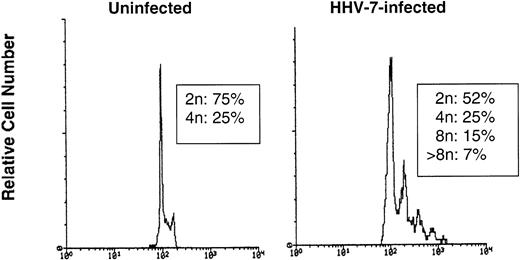 Fig. 7. The DNA content was analyzed in nuclei isolated from uninfected or HHV-7–infected (12 days p.i.) SupT1 cells by flow cytometry after staining with propidium iodide. The X axis, in a logarithmic scale, shows the DNA content determined based on fluorescence due to propidium iodide staining, and the Y axis reflects the relative number of cells. These results are representative of three separate experiments.