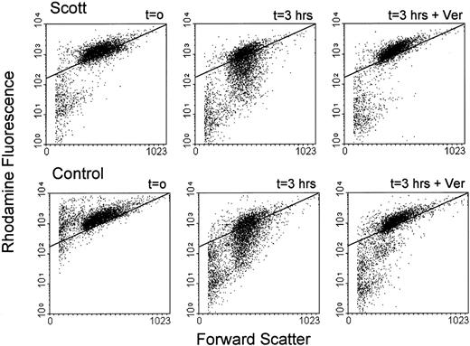 Fig. 2. Flow cytometric analysis of MDR1 Pgp activity in B lymphoblasts. B lymphoblasts from a patient with Scott syndrome and normal controls were loaded with Rh123 (10 minutes, 37°C), washed and reincubated in Rh123-free medium in the presence (3 hours + Ver) or absence (3 hours) of 50 μmol/L verapamil. Aliquots were removed at t = 0 hour and 3 hours, and analyzed by flow cytometry. Dot plots are shown for one normal control (C2; lower panels) and one Scott lymphoblast cell line (S2; upper panels). An arbitrary gate is drawn to facilitate comparison between samples. All three Scott and three normal control cell lines displayed MDR1 activity in the absence of verapamil, although differences in activity between cell lines were observed (not shown).