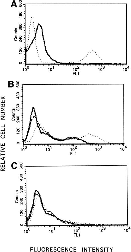 Fig. 5. Flow cytometric analysis of apoptosis using the APO-BRDU kit. Cells were incubated with Br-dUTP in the presence of TdT enzyme to incorporate Br-dUTP into exposed 3′-OH ends. Quantitation of Br-dUTP sites was determined by flow cytometric analysis using fluorescein-conjugated anti-BrdU monoclonal antibody. Positive (apoptotic) and negative (nonapoptotic) control HL60 cells, treated with camptothecin or untreated, were provided by the company. (A) Negative control (—); positive control (· · ·). (B) EBV-positive X50-7 cells treated with LMP-1 antisense oligodeoxynucleotide (· · ·); treated with control SS1 oligodeoxynucleotide (—); or untreated (). (C) EBV-negative Louckes line treated with LMP-1 antisense oligodeoxynucleotide (· · ·); treated with control SS1 oligodeoxynucleotide (—); or untreated ().