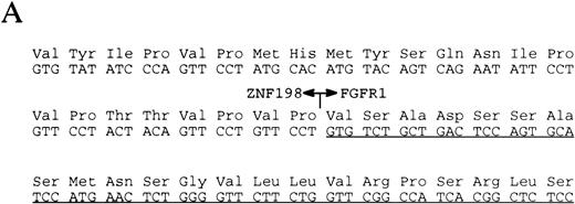Fig. 5. (A) The sequence surrounding the ZNF198-FGFR1 fusion. Proline 913 of ZNF198 is joined to valine 429 of FGFR1.39FGFR1 sequence is underlined. (B) RT-PCR analysis showing the presence of ZNF198-FGFR1 fusion transcripts (578 bp) in patients P.R., J.B., and E.C. but not three patients with CML. Reciprocal FGFR1-ZNF198 transcripts were not detected in any individual. M, 123-bp ladder. (C) (i) Expression of normal ZNF198 (527 bp) and normal FGFR1 (534 bp) in patients P.R., J.B., and E.C. (ii) RT-PCR using (A) primers DET22 + DET26 (564 bp), (B) DET17 + DET26 (395 bp), and (C) DET17 + DET22 + DET26 (564 bp).