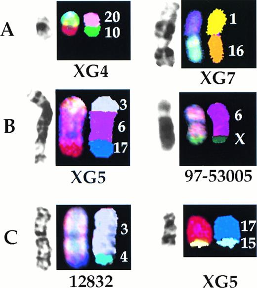Fig. 5. Representative examples of characterization by SKY of derivation of clonal marker chromosomes detected by G-banding (A), characterization by SKY of rearrangements misidentified by G-banding (B), and cryptic translocations (C). For each illustration, left to right are G-banded, SKY display color, and SKY classification images.