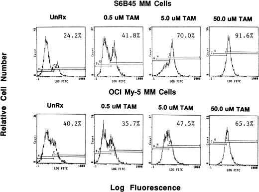 Fig. 7. Effect of tamoxifen on apoptosis of MM cell lines. S6B45 and OCI-My-5 MM cells were cultured for 24 hours in the absence or presence of TAM (0.5, 5.0, and 50 μmol/L), and the TUNEL technique was used to detect early apoptosis. The percentages of cells within the apoptosis gates are shown.
