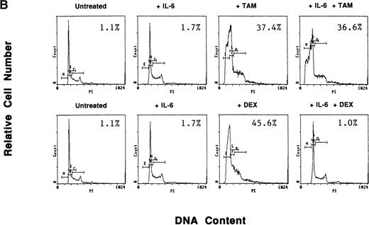 Fig. 9. Effect of estrogens or IL-6 on tamoxifen-induced apoptosis of S6B45 MM cells. S6B45 MM cells were cultured for 72 hours in media alone or with TAM (5.0 μmol/L), E2 (50 μmol/L), or both (A). These cells were also cultured for 72 hours in media alone, IL-6 (1 ng/mL), TAM (0.5 μmol/L), DEX (0.5 μmol/L), and either TAM or DEX with IL-6 (B). Apoptosis was determined by PI staining and FACS analysis. The percentages of cells within the apoptosis gate are shown.