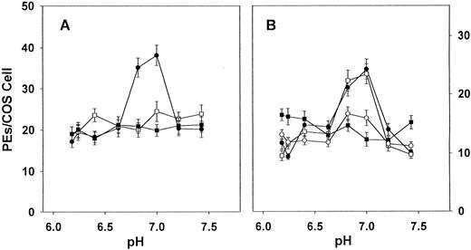 Fig. 1. Effect of pH on the cytoadherence of PEs to hCD36, mCD36, rCD36, H242Y, and Y242H. Adhesion assays were performed using transiently transfected COS-7 cells expressing human CD36, murine CD36, rat CD36, H242Y (human CD36 with residue 242 altered to tyrosine), or Y242H (rat CD36 with residue 242 altered to histidine). Infected blood suspended in BTS (pH adjusted by HCl or NaOH) to a 5% hematocrit and 5% parasitemia was added and incubated under continuous agitation for 90 minutes. After washing, adherence was quantitated microscopically by counting the number of adherent erythrocytes per transfected COS cell for at least 40 representative COS-7 cells per data point. Values indicated are for (A) human CD36 (•), rat CD36 (▪), and H242Y (□) and for (B) human CD36 (•), rat CD36 (▪),mouse CD36 (○), and Y242H (□). The values are mean values with standard deviations represented by error bars. Similar results were obtained in three independent experiments. Cytoadherence to human CD36 and Y242H is significantly pH dependent (P < .005, by ANOVA).