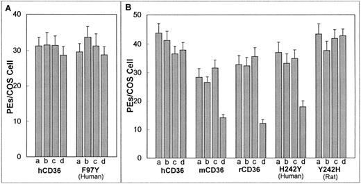 Fig. 2. Effect of CD36 iodination on the cytoadherence of PEs. Adhesion assay was as in Fig 1 with all assays performed at pH 6.8. Iodination was performed by subjecting the transfected COS-7 cells to no additions (a); addition of 10 mmol/L NaI in PBS (b); addition of an iodobead (c); or the addition of both 10 mmol/L NaI and an iodobead in PBS (d). Results represent the mean with standard deviation indicated by error bars. Similar results were obtained in three independent experiments. Values indicated are for (A) human CD36 and F97Y (human CD36 with residue 97 substitute for tyrosine) and for (B) human CD36, murine CD36, rat CD36, H242Y (human CD36 with residue 242 substituted for tyrosine), and Y242H (rat CD36 with residue 242 substituted for histidine). Iodination significantly reduces the level of cytoadherence to murine CD36, rat CD36, and H242Y (P < .01,t-test).