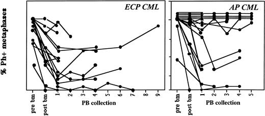 Fig. 3. Contamination of sequential PB collections with Ph-positive cells remains relatively constant. Marrow was obtained before priming and PB or BM were obtained after priming on protocols CY/GM/BM, MAC/G/PB, and CY/G/PB from patients with ECP or AP CML. On average, 20 metaphases from steady-state marrow, mobilized marrow, or PB collections were analyzed. Cytogenetic status of all collections are shown separately. In general, cytogenetic responses did not change significantly between the first and last PB collections. Marrow and PB cells were evaluated by metaphase analysis and/or FISH to detect the number of Ph-positive metaphases.