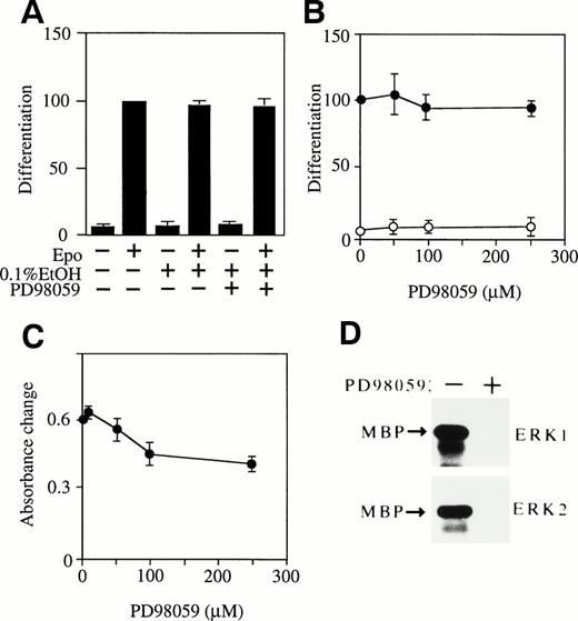 Fig. 5. MEK-specific inhibitor PD98059 has no effect on Epo-induced erythroid differentiation of SKT6 cells. (A) SKT6 cells were cultured in the presence (+) or absence (−) of Epo and MEK-specific inhibitor PD98059 (50 μmol/L) dissolved in 0.1% ethanol, and the hemoglobinized cells were stained with DAF. (B) Dose-dependency of PD98059 in SKT6 cell differentiation in the presence (•) or absence (○) of Epo. The percentage of hemoglobinized cells in the presence of Epo is defined as 100% as a control. Values shown are the means of five experiments. (C) Dose-dependency of PD98059 on SKT6 cell growth. Cell proliferation was measured by MTT assay. (D) Activity of ERKs was blocked by PD98059. The ERK activity was assayed in the presence (+) or absence (−) of PD98059 (50 μmol/L) 5 minutes after Epo stimulation.