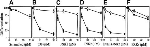Fig. 6. Activation of both p38 and JNKs is essential for Epo-induced differentiation. Various concentrations (0 to 30 μmol/L) of scrambled S-oligo (A), antisense S-oligo (•), or sense S-oligo (○) of p38 (B), JNK1 (C), JNK2 (D), a mixture of JNK1 and JNK2 (E), or ERKs (F) were mixed with SKT6 cells in the presence of Epo, and the hemoglobinized cells were stained with DAF after 4.5 days of culture. The percentage of DAF-positive cells in the presence of Epo is defined as 100%, and the inhibition of erythroid differentiation is shown as a relative value. Each point represents the mean of five replicates. (G) Antisense S-oligos specifically inhibit the expression of each corresponding kinase. The lysates of the cells treated (+) or untreated (−) with antisense S-oligos (30 μmol/L) indicated above were probed with specific antibody against each corresponding kinase shown left.