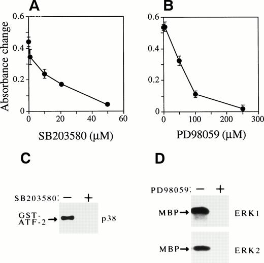 Fig. 9. Activation of p38 and ERKs is required for Epo-dependent cell growth of FD-EPO cells. (A and B) Both SB203580 and PD98059 inhibit Epo-dependent cell growth. Various concentrations of SB203580 (A) or PD98059 (B) were mixed in FD-EPO cell culture, and the effect of the inhibitors on Epo-dependent cell growth was measured by MTT assay. (C) SB203580 blocked p38 activity. The p38 activity was assayed in the presence (+) or absence (−) of SB203580 (50 μmol/L) in Epo-stimulated FD-EPO cells. (D) PD98059 inhibited ERKs. The activity of ERKs was measured with (+) or without (−) PD98059 (200 μmol/L) in Epo-stimulated FD-EPO cells.