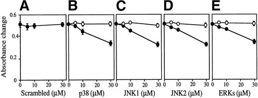 Fig. 10. The MAP kinase family is essential for Epo-dependent cell growth. Various concentrations (0 to 30 μmol/L) of antisense S-oligo (•) or sense S-oligo (○) of p38 (B), JNK1 (C), JNK2 (D), a mixture of JNK1 and JNK2 (D), ERKs (E), or scrambled S-oligo (A) were mixed with FD-EPO cells in the presence of Epo, and the cell growth was measured by MTT assay. Values shown are the means of six experiments. (F) Immunoblot analyses of FD-EPO cells treated (+) or untreated (−) with antisense S-oligos (30 μmol/L) with specific antibody against each corresponding kinase.