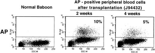 Fig. 6. Flow cytometric analysis of peripheral blood cells in a normal baboon and in J94432 after transplantation with CD34-enriched marrow cells transduced with a retroviral vector containing the human placental alkaline phosphatase gene (LAPSN). The percentage of live-gated cells that expressed human placental alkaline phosphatase is indicated.