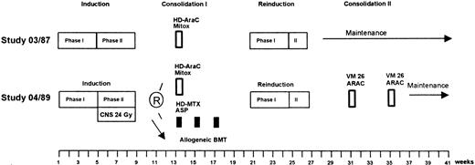 Fig. 1. Treatment strategies for high-risk patients of GMALL studies 03/87 and 04/89. The therapy protocols are given in detail in Table 1.