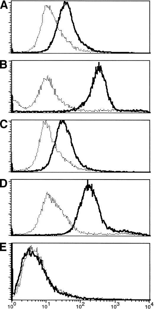 Fig. 4. (A-D) Appearance of IgG antibody to tumor cells after immunization. Pretreatment fluorescence in all patients was at the level of controls (normal human serum). Three to 6 weeks after the first immunization, four of the patients analyzed (numbers 1, 3, 5, 6) who are shown here had increased antibody binding to autologous tumor cells, shown by an increase in fluorescence activity. Increased activity persisted at least 3 months after completion of therapy. (E) For comparison, a nonresponding patient is shown.