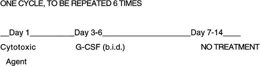 Fig. 1. Design of repeated cytotoxic agent and G-CSF administration. Mice were given six 2-week cycles of cytotoxic agents, half of the mice received G-CSF twice daily on days 3 through 6 at 250 μg/kg/day. No treatment was given on days 7 through 14.