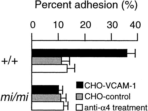 Fig. 5. Adhesion of CMCs to VCAM-1. CMCs were used 4 weeks after the initiation of culture, because the expression of 4 subunit reached the maximum level at that time. The adhesion of CMCs to CHO cells transfected with either sense (CHO-VCAM-1) or antisense VCAM-1 cDNA (CHO-control) was determined. The adhesion of CMCs pretreated with anti-4 MoAb was also determined. Bars indicate the standard error of three assays.