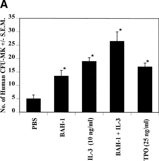 Fig. 5. Effect of BAH-1 MoAb on human CFU-MK colonies. (A) CD34+ bone marrow cells were plated at 5 × 103/mL in the fibrin clot system (see the Materials and Methods). Results are expressed as the means ± SEM of megakaryocyte colonies. Experiments were performed in triplicate in four assays. *Statistically significant compared with PBS (P < .05). (B) Photographs of CFU-MK colonies in the presence of BAH-1 (B-I) or TPO (B-II).