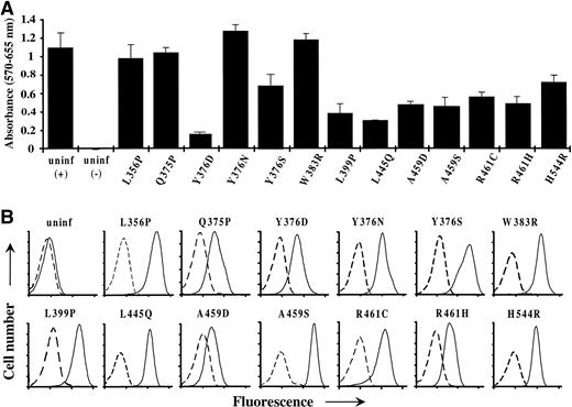 Fig. 2. Proliferation of factor-independent FDC-P1 cells infected with novel constitutive hβc mutants. (A) Proliferation assay of FDC-P1 cells, infected with the indicated hβc mutants, which had been selected before assay for growth in the absence of factor. Also shown are uninfected cells (uninf) that were washed and assayed in medium with (+) and without (−) mGM-CSF. Cells (103) were plated in triplicate and cell proliferation was measured at 72 hours as described in Materials and Methods. The mean and standard error of each triplicate is shown. (B) Flow cytometric analysis of constitutive hβc mutant expression on the factor-independent FDC-P1 cells depicted in (A). Cells were stained by standard indirect immunofluorescence; dashed lines represent cells stained with an irrelevant control antibody and solid lines indicate staining with an anti-hβc antibody. Cell number and fluorescence are in arbitrary units; the latter is plotted on a logarithmic scale. Also shown are analyses of uninfected FDC-P1 cells. Note that data for only the novel mutants isolated in this study are shown.