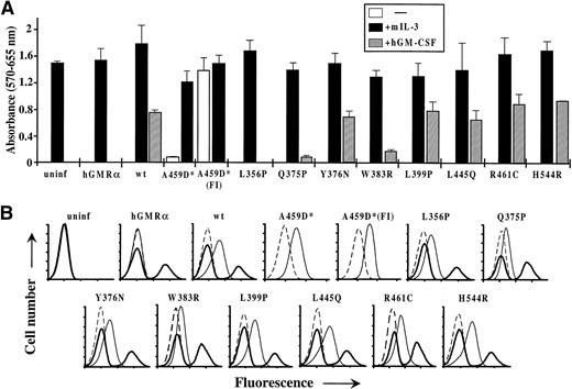 Fig. 7. Biological activity of hβc mutants in BAF-B03 cells. (A) Factor-dependent and -independent proliferation of BAF-B03 cells infected with retroviruses encoding the indicated β subunits and subsequently superinfected with a retrovirus encoding the hGMR subunit. Proliferation assays were performed using triplicates of 5 × 103 cells in the presence of mIL-3 or hGM-CSF or in the absence of either factor, as indicated. The asterisk by A459D indicates that, in this case, the cells were not superinfected with the hGMR retrovirus. A459D(FI) represents a population of A459D-infected cells that were selected for factor-independent growth before analysis. For comparison, assays of uninfected BAF-B03 cells and cells infected with the hGMR virus alone are shown. (B) Flow cytometric analysis of hβc and hGMR expression on the BAF-B03 cells used in (A). In each case, the cells infected with the indicated β subunits were stained with an irrelevant control antibody (dashed line), an anti-hβc antibody (thin solid line), and an anti-hGMR antibody (thick solid line) by standard indirect immunofluorescence. Axes are as for Fig2B.