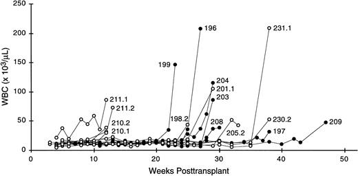 Fig. 2. Serial leukocyte (WBC) counts in MSCV-FL mice. Each line represents data from a single animal: mice 196, 197, 199, 203, 204, 208, and 209 are primary recipients; mice 198.2, 201.1, 205.2, 210.1, 210.2, 211.1, 211.2, 230.2, and 231.1 are secondary recipients.