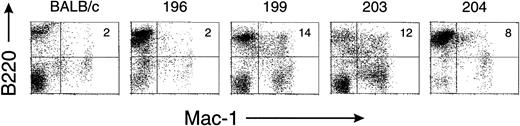 Fig. 4. Immunofluorescence flow cytometric analysis of B220 and Mac-1 coexpression by serially transplanted leukemic spleen cells from MSCV-FL recipients 196, 199, 203, and 204. The percentages of double-positive cells are indicated; ≤2%, background staining (see Table 2 for details).