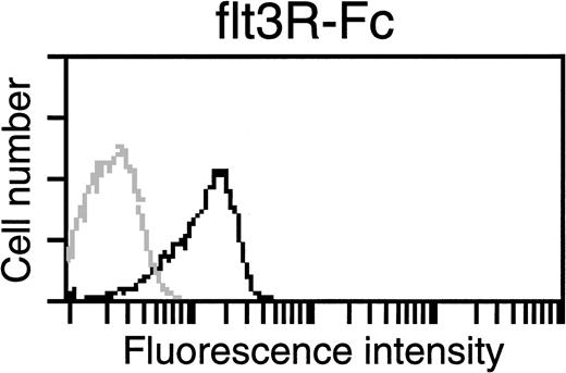 Fig. 6. Detection of membrane-bound FL on leukemic cells by flow cytometric analysis. Serially transplanted 199 leukemic spleen cells were transferred to liquid culture and maintained in the presence of KL, IL-3, and IL-7 plus G418 for 4 weeks before analysis. Cells were assayed for capacity to bind a soluble human flt3R-Fc fusion protein. The solid line histogram represents specific staining (79.3% positive) above background (shaded line histogram). See Materials and Methods for details.