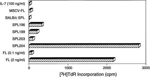 Fig. 7. Production of biologically active FL by MSCV-FL leukemic cells. Serially transplanted leukemic spleen cells were transferred to liquid culture and maintained in the presence of KL, IL-3, and IL-7 for 2 weeks before analysis. Conditioned medium (CM) was collected from cells at a density of 106/mL and tested at 1:2 dilution for capacity to stimulate the proliferation of the FL-responsive cell line WWF7 in the presence of 100 ng/mL IL-7 (as described in Materials and Methods). MSCV-FL, CM from GP+E-86/MSCV-FL producer cells; BALB/c SPL, CM from control BALB/c spleen cells; FL, recombinant human FL. Approximate undiluted FL equivalent concentrations: SPL196 CM, 0.8 ng/mL; SPL199 CM, 0.6 ng/mL; SPL203 CM, 0.2 ng/mL; and SPL 204 CM, 7.8 ng/mL.