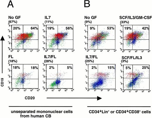 Fig. 4. Flow cytometric analysis of the human B-cell population present in engrafted NOD/SCID mice treated with various cytokines. (A) Four NOD/SCID mice were transplanted with one CB donor and the BM was analyzed 6-weeks later for the presence of CD19+and/or CD20+ human B lymphocytes. These analyses were performed on gated CD45+ human cells. The level of human cell engraftment is shown in brackets for each mouse. In all cases the mice were treated with the indicated cocktail of cytokines every other day for the entire experiment. Lymphocytes (red) were distinguished from blasts (green) and myeloid cells (blue) according to their size and morphology using forward and side-scatter characteristics. (B) Mice were transplanted with CD34+CD38− cells for the no GF, SCF/IL-3/GM-CSF, FL/SCF/IL-3 treatment groups, or CD34+Lin− cells for the IL-7/FL treatment group.