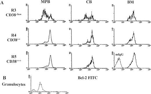 Fig. 2. Bimodal distribution of bcl-2 protein expression (bcl-2low and bcl-2high) in primitive hematopoietic precursors and their progeny. Mononuclear cells (MNCs) were stained with membrane antigens (CD34-tri-color and CD38-PE), then permeabilized with Ortho Permeafix and stained for anti-bcl-2 FITC. Cells were analyzed according to CD38 intensity level, CD38−/low (R3), CD382+ (R4), and CD383+ (R5) by using only the strong CD34 positive cells (Fig 1C). These selected gates were identically used for analyzing all samples. MNCs were also permeabilized and stained with mIgG to define the threshold between bcl-2-positive and bcl-2-negative cells. Similarly, the granulocytes from whole, fresh MPB samples were also analyzed. The bcl-2 gates (bcl-2low and bcl-2high) were decided by the histograms distribution. (A) The bimodal distribution of bcl-2 in MPB, CB, and BM. (B) The comparison in bcl-2 fluorescent intensity between the mature granulocytes and the hematopoietic precursors (CD34s+/CD38−/low) seen in Fig 2A.