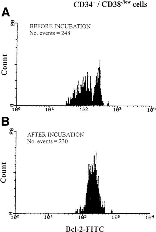Fig. 8. Changes in bcl-2 expression of CD34+/CD38−/low hematopoietic precursors during overnight incubation of MPB in serum-free RPMI. Cells were analyzed using three-color immunofluorescence of CD34-tri- color, CD38-PE, and bcl-2-FITC. After membrane antigen staining with anti-CD34 and anti-CD38 antibodies, cells were permeabilized with Ortho Permeafix and stained for anti-bcl-2. Bcl-2 expression was analyzed according to CD38 antigen intensity level (regions R3, R4, and R5 in Fig 1C). Data show one representative experiment of six. (A) Bcl-2 expression before incubation, representing a bimodal histogram of bcl-2low(MFI = 95) and bcl- 2high (MFI = 259). (B) Bcl-2 expression in the same cells after incubation showing a single histogram of bcl- 2high (MFI = 212).
