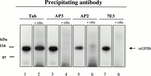 Fig. 3. Immunoblot of srGPIIb precipitated from day-4 culture supernatant by MoAbs Tab (anti-GPIIb H), AP3 (anti-GPIIIa), and AP2 and 7E3 (anti-GPIIb-IIIa complex) in the absence (lanes 1, 3, 5, and 7) and presence (lanes 2, 4, 6, and 8) of 10 mmol/L EDTA. All four MoAbs precipitated srGPIIb from untreated culture medium. After the addition of EDTA to dissociate srGPIIb-IIIa, precipitation was achieved only with Tab.
