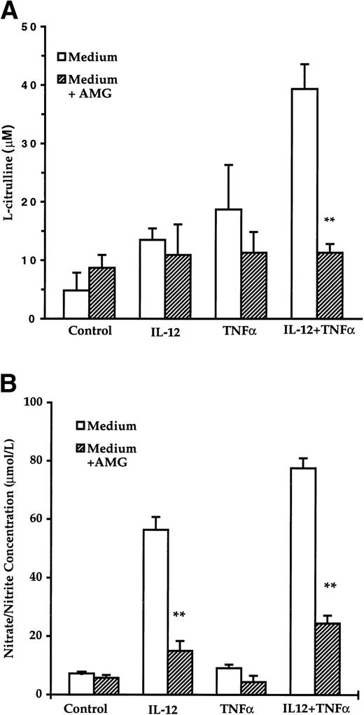 Fig. 1. Production of citrulline and nitrate/nitrite in cultures of NK cells. Purified NK cells (106 cells/mL) were incubated in Dulbecco’s modified Eagle’s medium (DMEM; arginine content, 0.4 mmol/L) with IL-12 (5 U/mL) or/and TNF (20 ng/mL) without or with AMG (4 mmol/L) for 3 days. Supernatants were then collected and production of citrulline (A) and nitrate/nitrite (B) levels was determined as described in Materials and Methods. The results are expressed as the mean ± SE of three different experiments. The asterisks denote a statistically significant difference (P < .01) between IL-12 + AMG and IL-2 or/and IL-12 + TNF + AMG and IL-12 + TNF, as determined by the Student’s t-test.