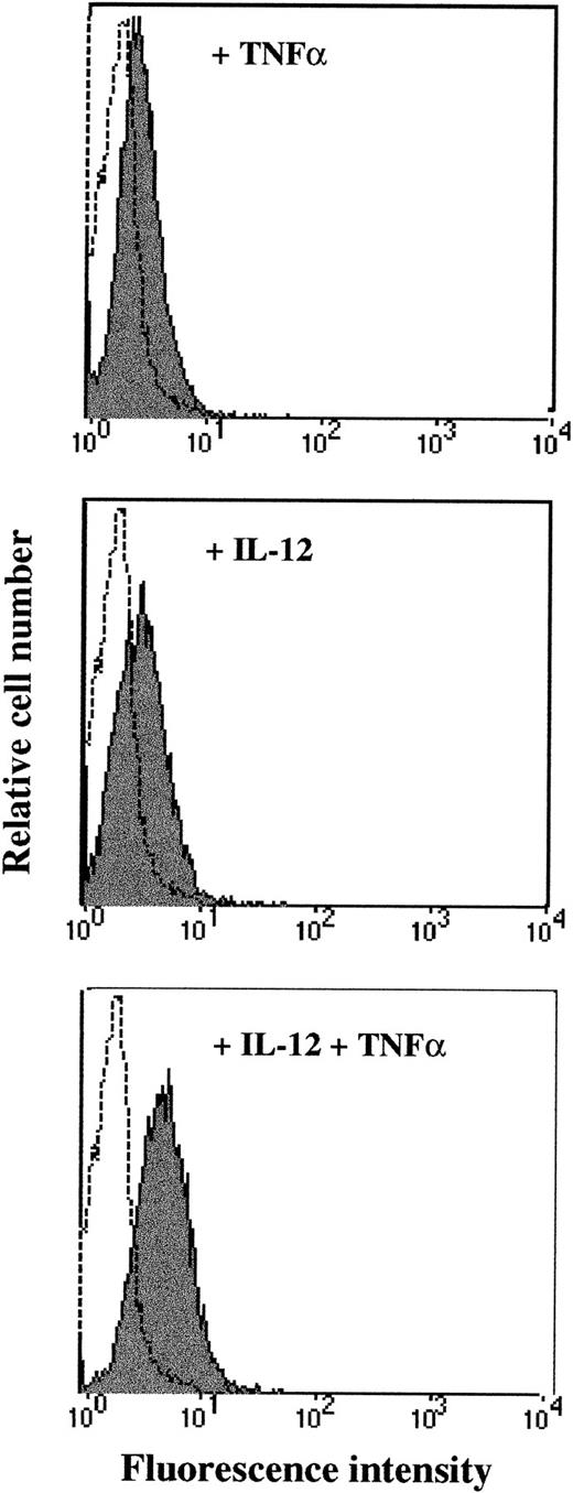 Fig. 3. iNOS protein expression in stimulated NK cells. NK cells were stimulated for 24 hours in the presence or absence of IL-12 (5 U/mL) or/and TNF (20 ng/mL) and then harvested. The cells were washed, permeabilized, and stained with a polyclonal rabbit anti-iNOS and then with a (FITC)-conjugated F(ab’)2 fragment goat antirabbit IgG, as described in Materials and Methods. Fluorescence data were collected on 5,000 viable cells. (Open area) untreated NK cells (profile identical to that obtained with the preimmune serum, indicative that these cells were negative for the expression of this marker). (Shaded area) NK cells stimulated with TNF (upper panel), IL-12 (middle panel), or both cytokines (lower panel). The percentage represents the change in the mean log fluorescence for this experiment. Student’s t-test after comparison of the values obtained with IL-12 + TNF with the corresponding values obtained with medium, IL-12, or TNF results in P < .05. Similar results were obtained in three other experiments.